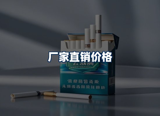 专业团队办公环境